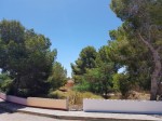 Land for sale in the Algorfa area